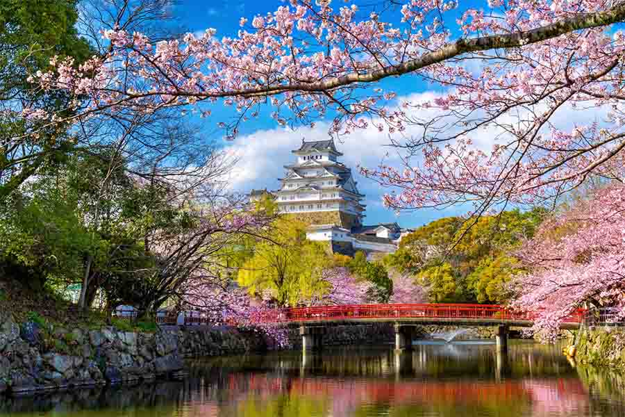 بنایی زیبا در کنار شکوفه های گیلاس ژاپن