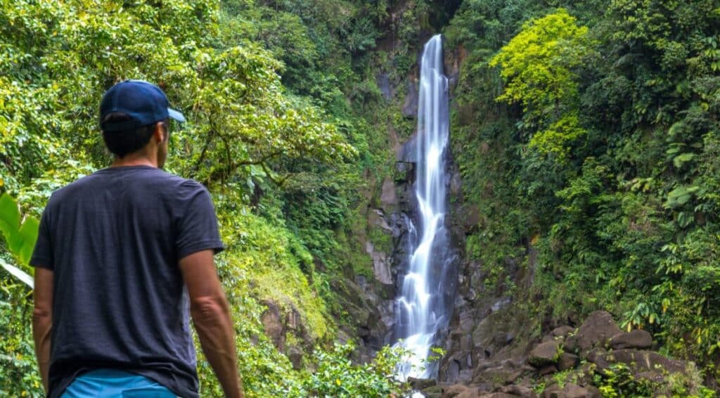 آبشارها در دومینیکا